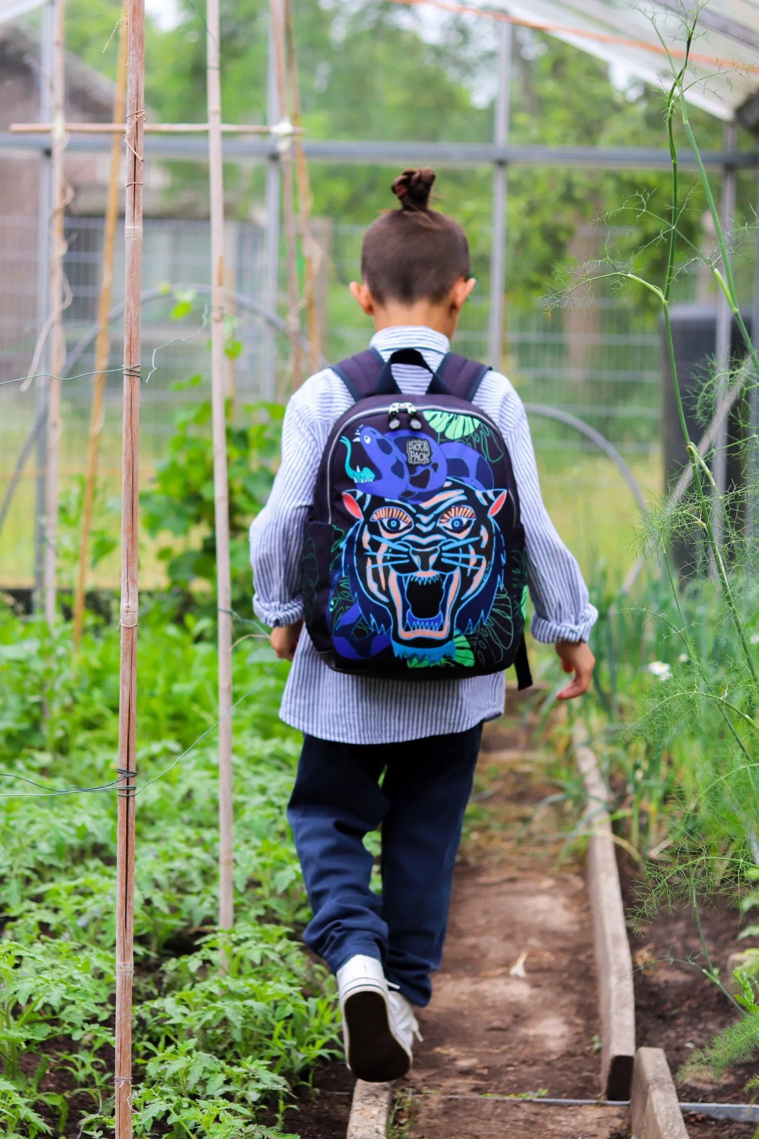 Dangerous Cat Backpack M Carbon